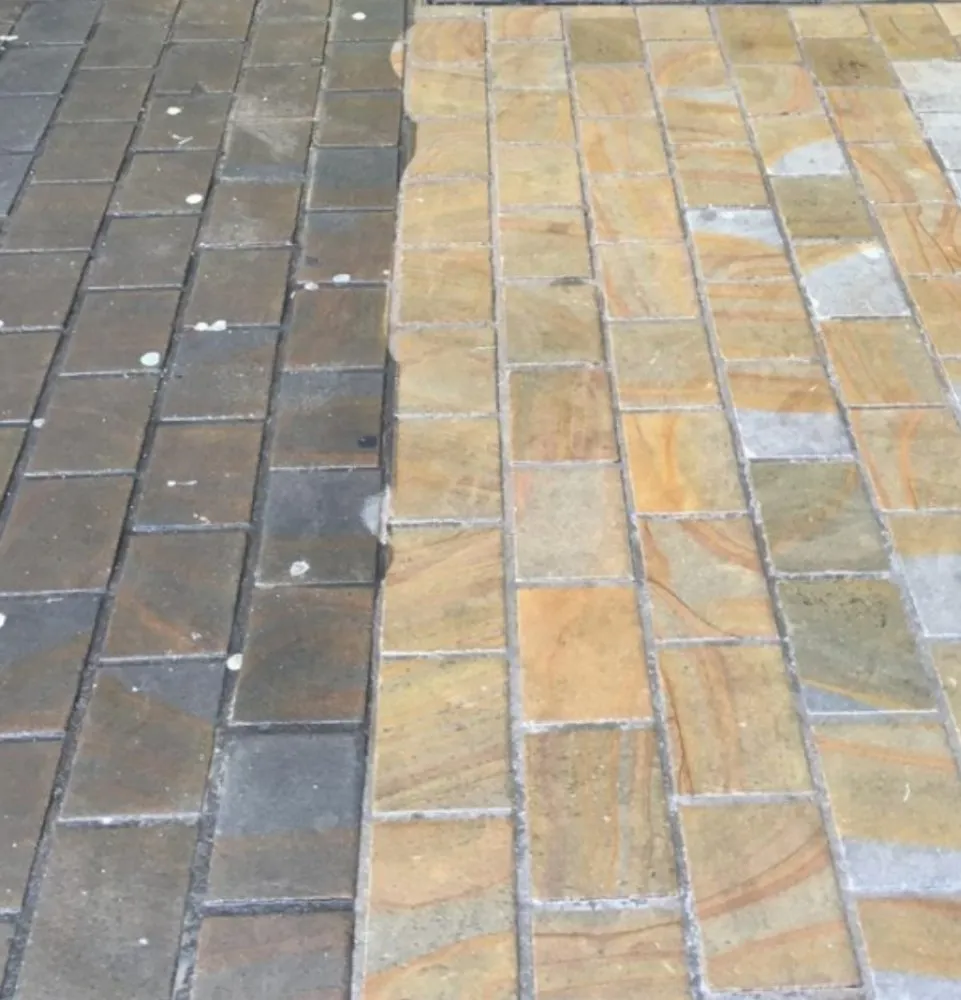 Expert landscaping services in Eugene, OR by Reliable TONY