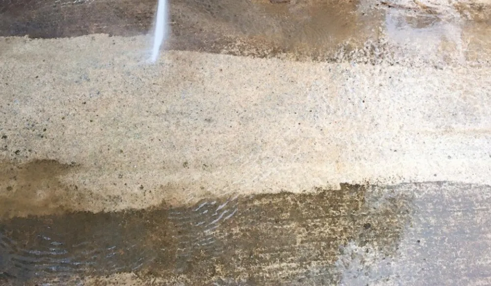 Professional landscaping services for beautiful yards in Eugene, OR by Reliable TONY