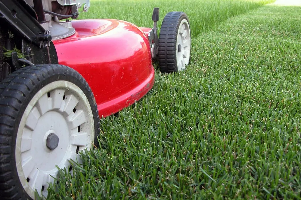 Custom lawn mowing service for beautiful yards in Tallahassee, FL by Reliable Tree and Landscape Solutions