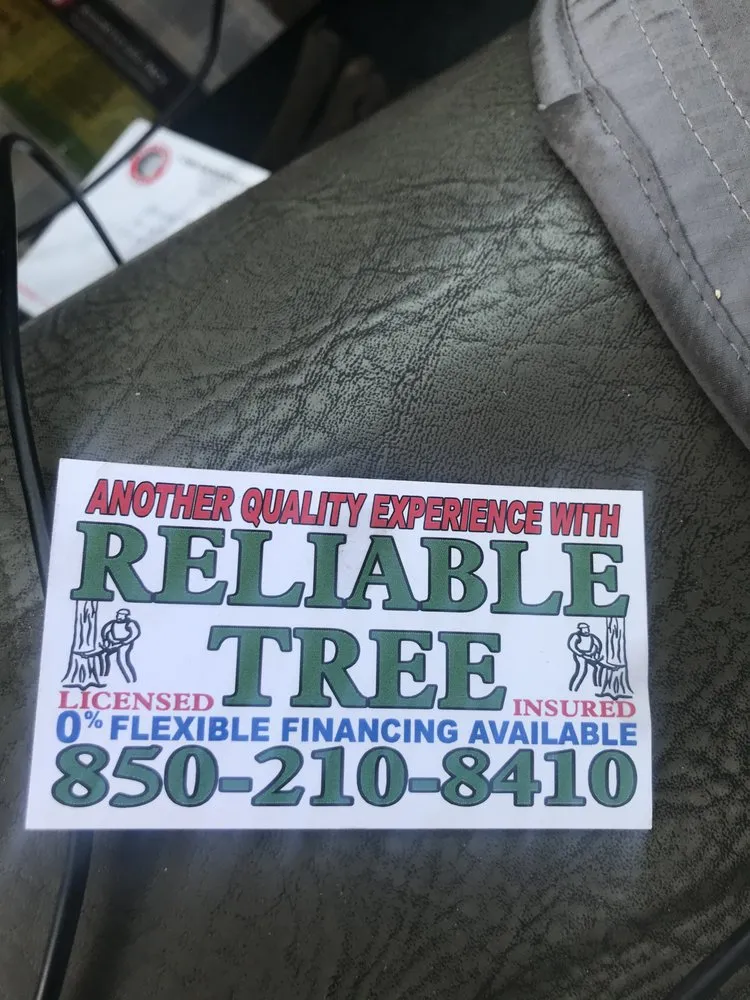 Professional garden landscaping for beautiful yards in Tallahassee, FL by Reliable Tree and Landscape Solutions