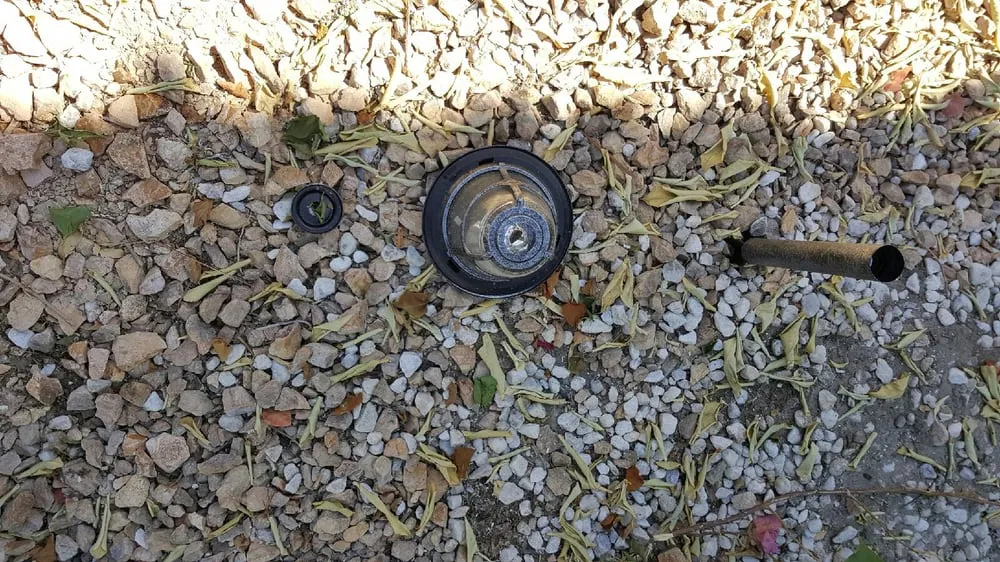 Trusted yard maintenance experts serving Coachella, CA - Reliable Tree Care