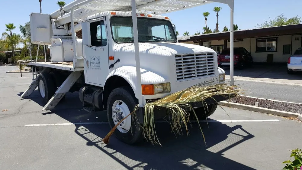 Professional yard maintenance near you across Coachella, CA - Reliable Tree Care