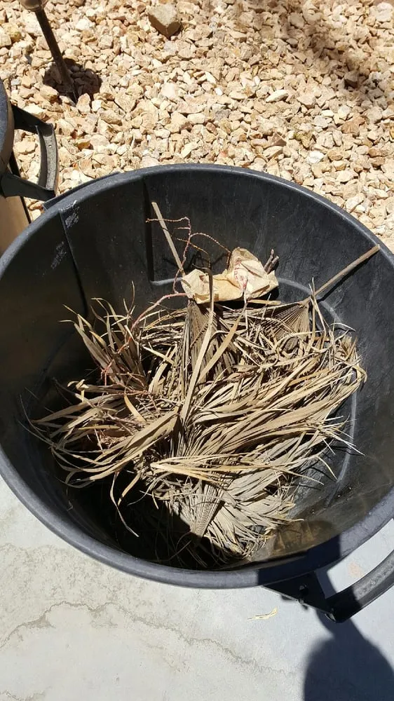 Reliable landscaping services in Coachella, CA by Reliable Tree Care