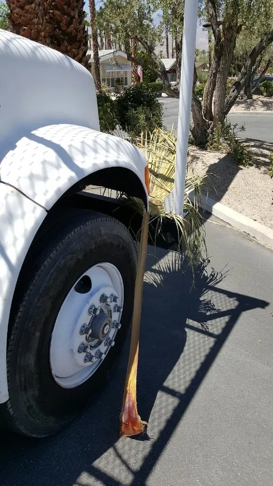 Top-rated outdoor landscaping experts serving Coachella, CA - Reliable Tree Care