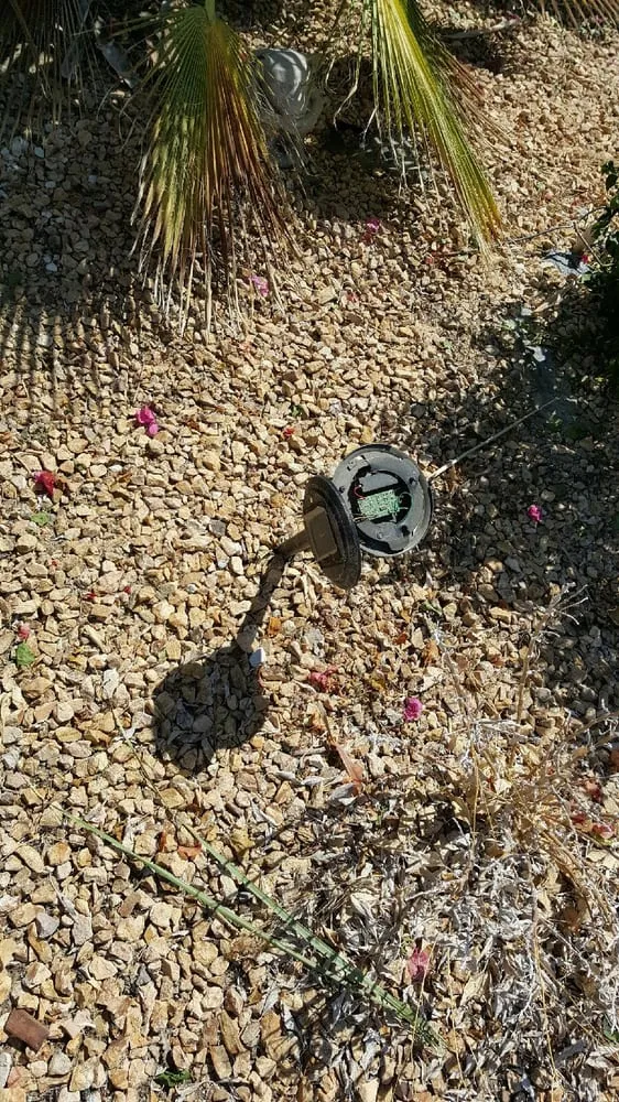 Professional yard maintenance in Coachella, CA - Reliable Tree Care