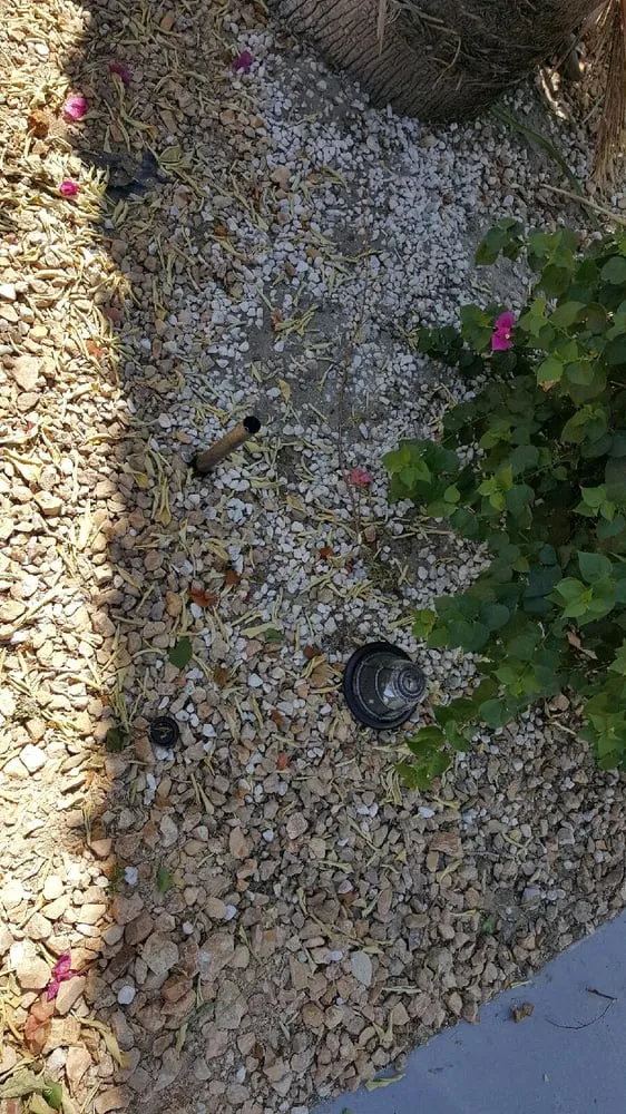 Reliable outdoor landscaping with custom design in Coachella, CA by Reliable Tree Care