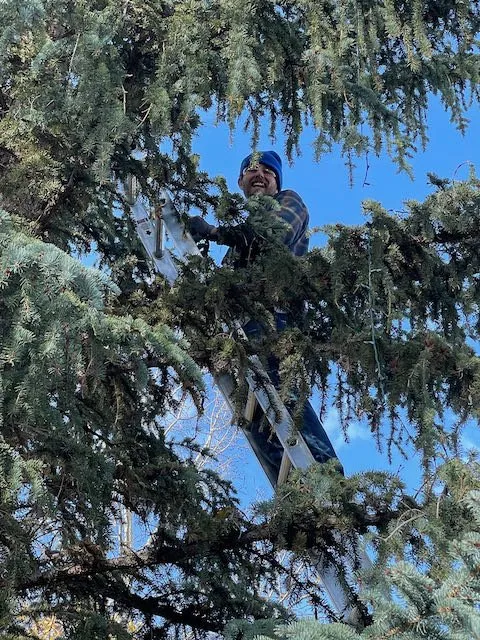 Top-rated residential landscaping in Vail, CO by ReliableMC