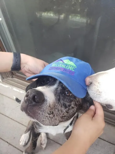 Custom garden landscaping experts serving Vail, CO - ReliableMC