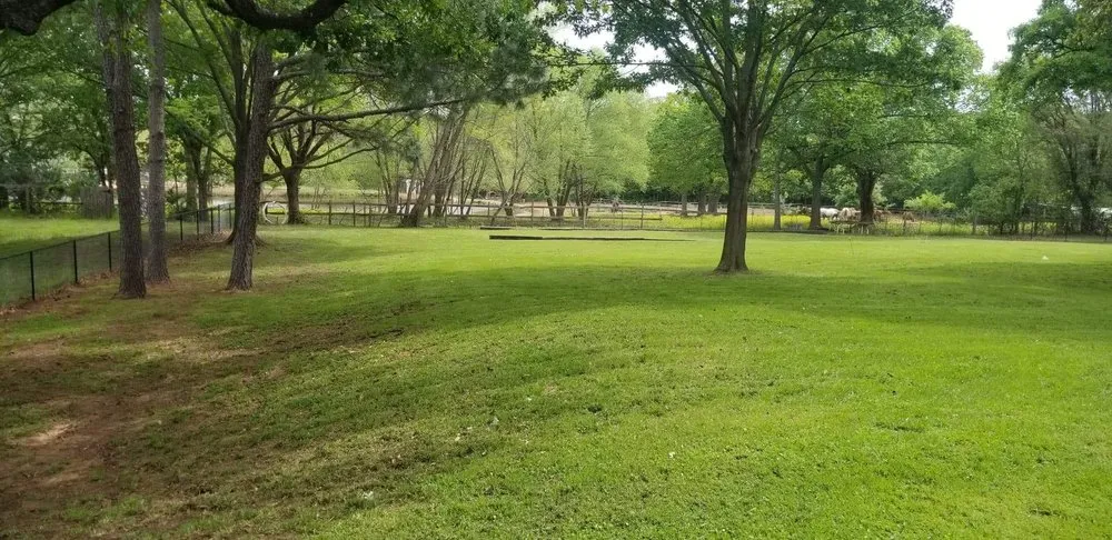 Expert lawn care service in Krum, TX - Reliably Fine Lawn Service