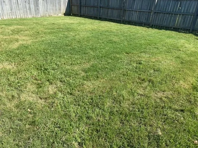 Custom residential landscaping experts serving Olive Branch, MS - Reliance Lawn Care