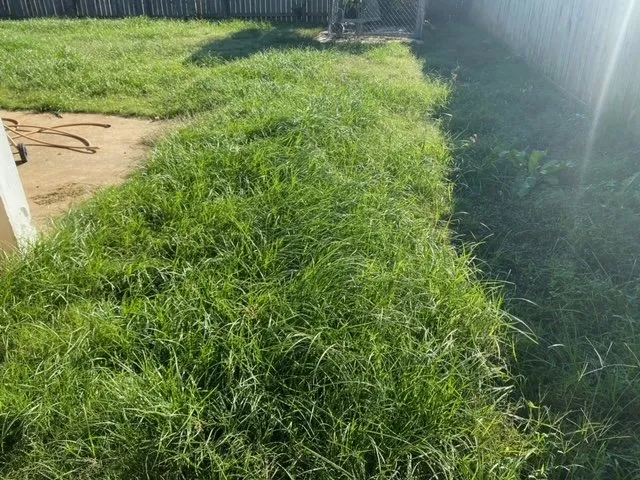 Top-rated garden landscaping for homes in Olive Branch, MS by Reliance Lawn Care