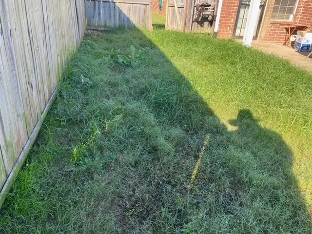 Custom landscape installation for year-round maintenance in Olive Branch, MS by Reliance Lawn Care