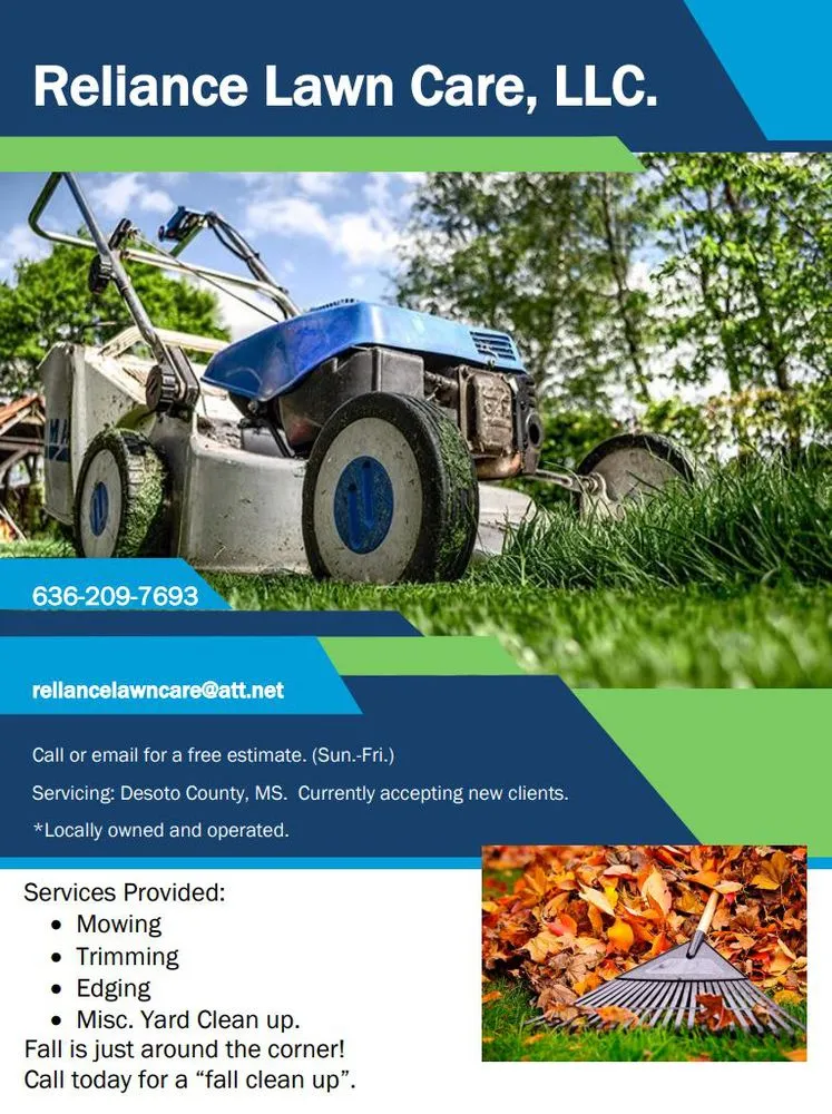Expert yard cleanup service for year-round maintenance in Olive Branch, MS by Reliance Lawn Care