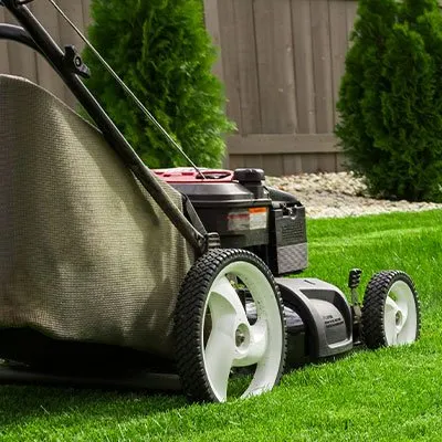 Top-rated garden landscaping in Olive Branch, MS by Reliance Lawn Care