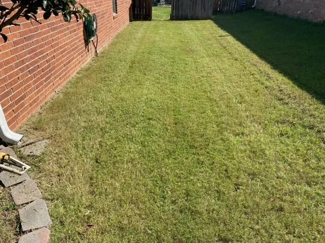 Local yard maintenance for year-round maintenance across Olive Branch, MS - Reliance Lawn Care