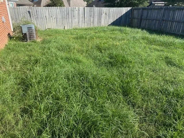 Reliable yard maintenance for year-round maintenance in Olive Branch, MS by Reliance Lawn Care