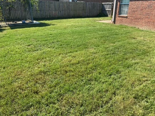 Top-rated landscape design for residential properties across Olive Branch, MS - Reliance Lawn Care