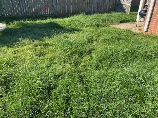 Local landscape installation near you across Olive Branch, MS - Reliance Lawn Care