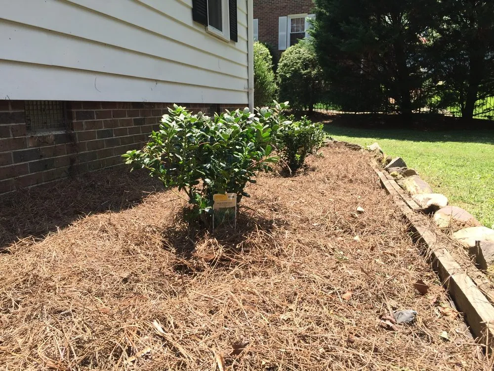 Trusted yard cleanup service in Mount Pleasant, SC by Reliant Earthworks & Landscaping