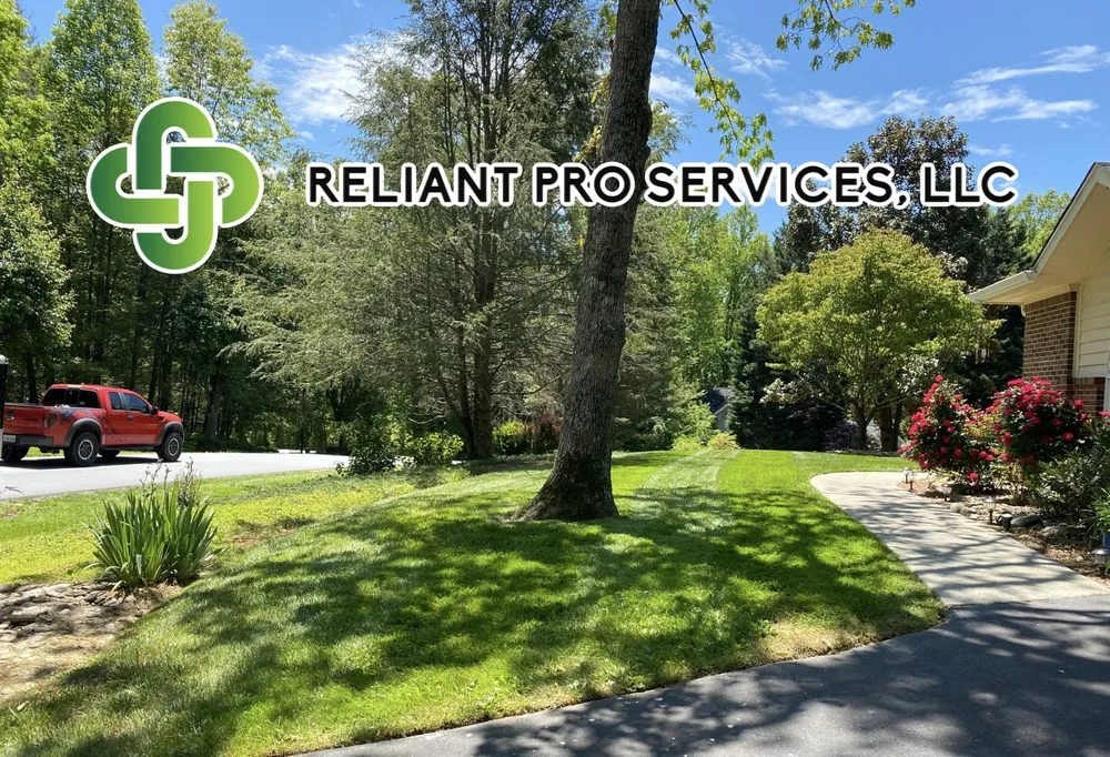 Professional residential landscaping for year-round maintenance across Hendersonville, NC - Reliant Pro Services