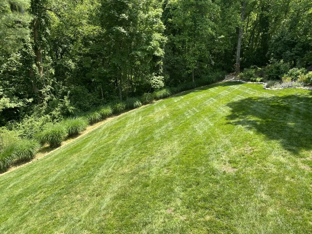 Top-rated lawn mowing service for year-round maintenance in Hendersonville, NC by Reliant Pro Services