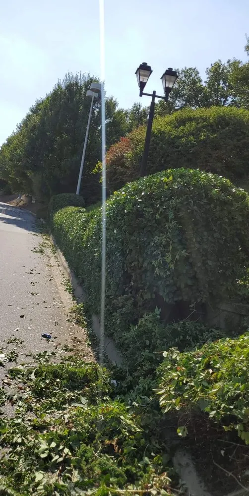 Trusted lawn mowing service near you across Hendersonville, NC - Reliant Pro Services