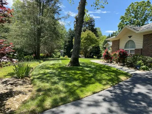 Reliant Pro Services Logo