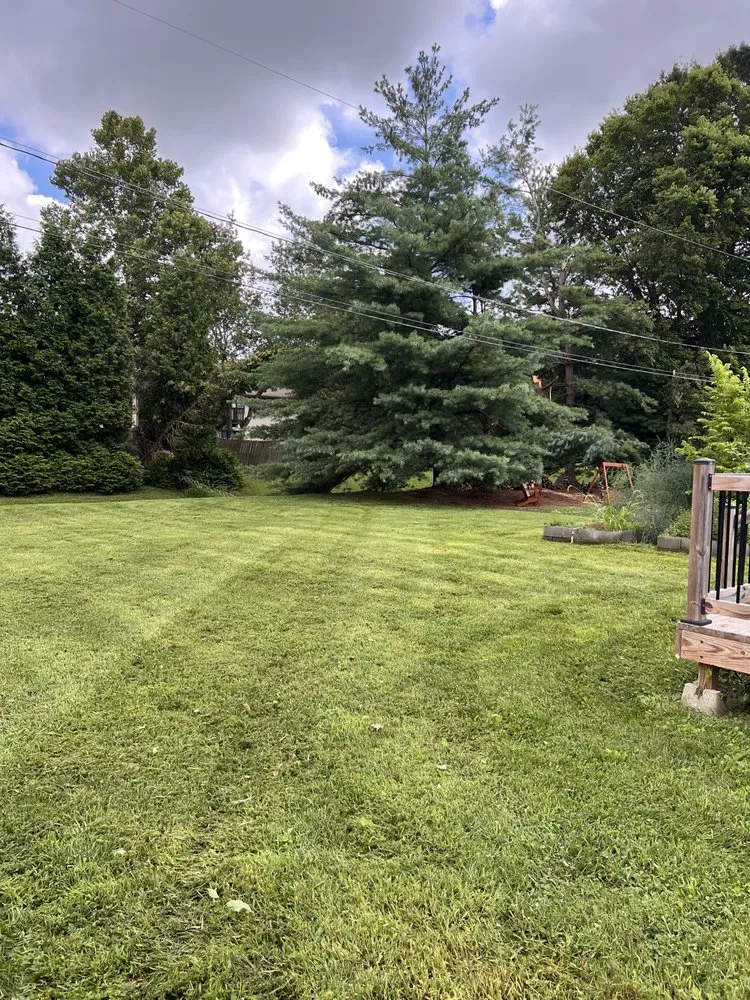 Expert landscaping services experts serving Springfield, MO - Relief Lawn Care