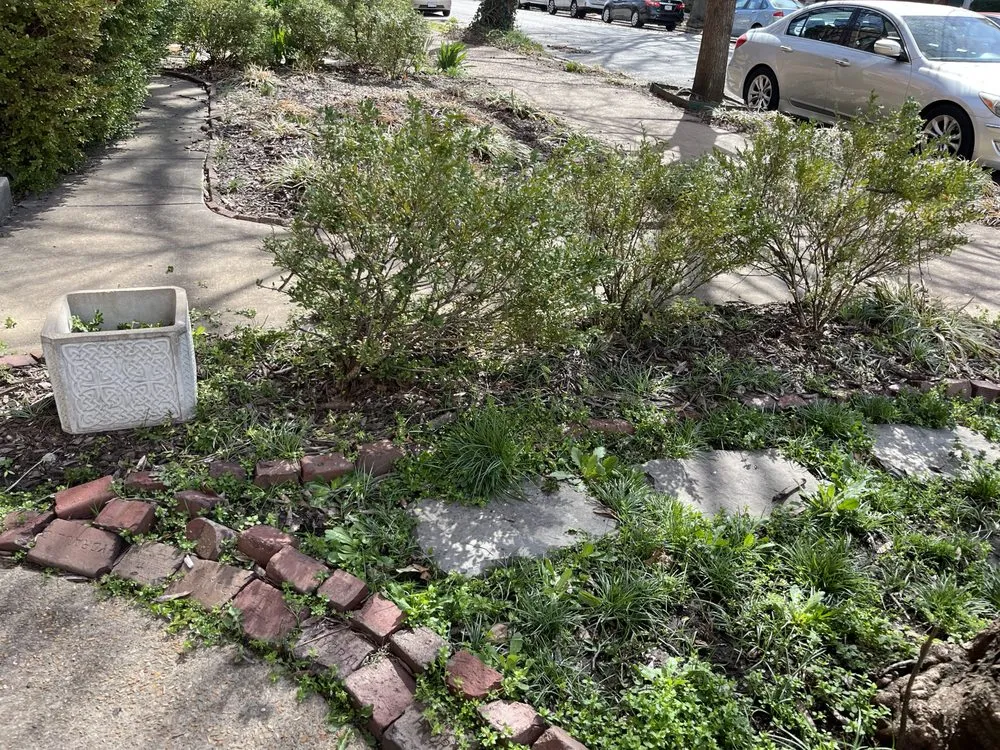 Top-rated landscape installation for residential properties across Saint Louis, MO - Rell