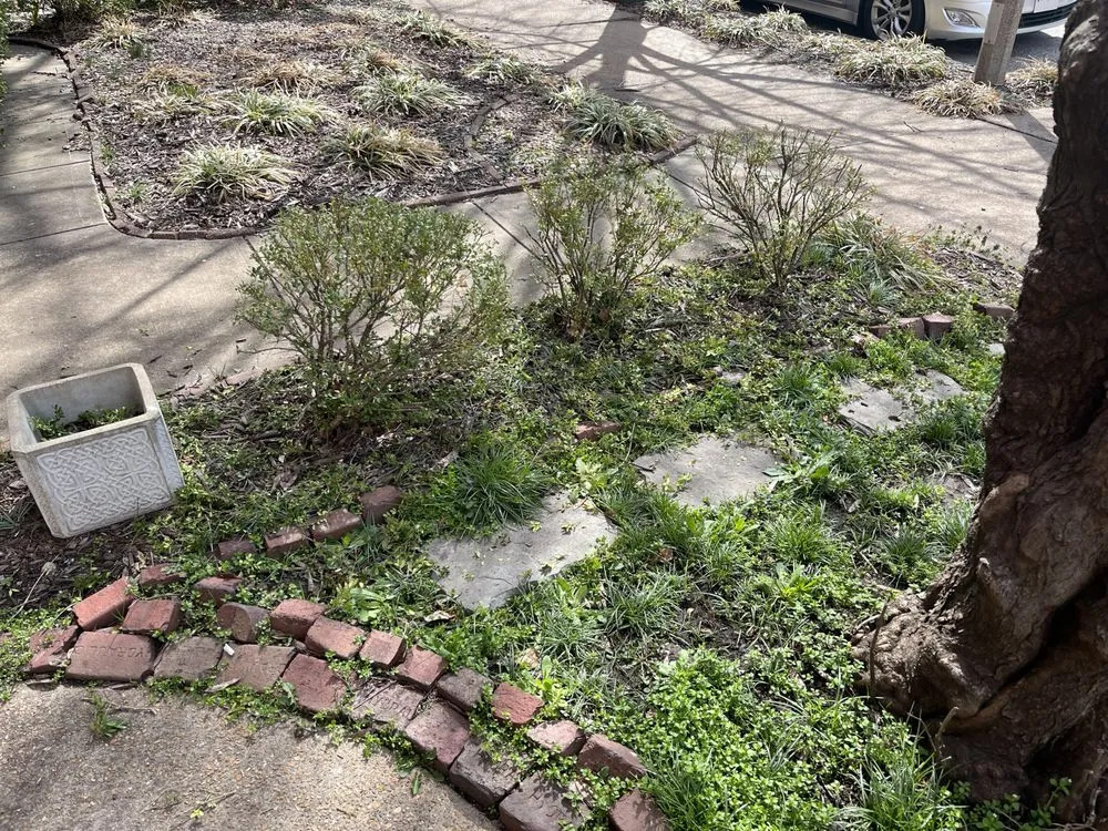 Top-rated outdoor landscaping for homes in Saint Louis, MO by Rell