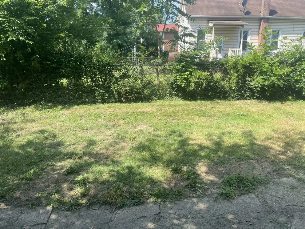 Reliable garden landscaping with custom design across Saint Louis, MO - Rell