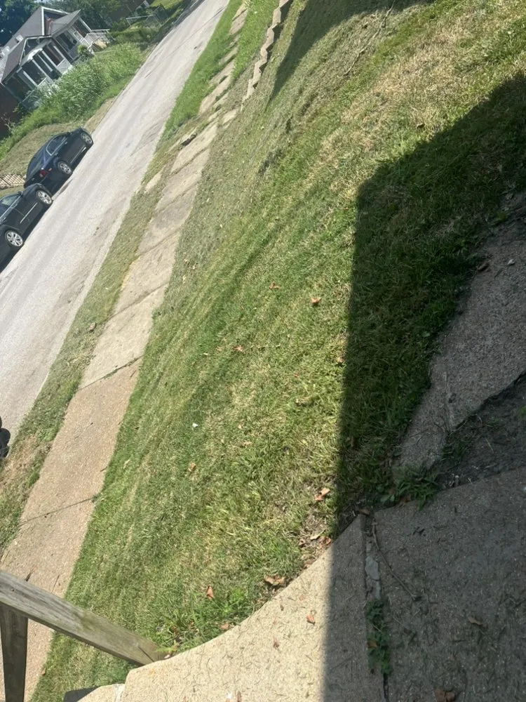 Reliable landscape installation for outdoor upgrades across Saint Louis, MO - Rell