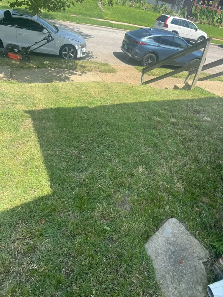 Custom lawn mowing service in Saint Louis, MO by Rell