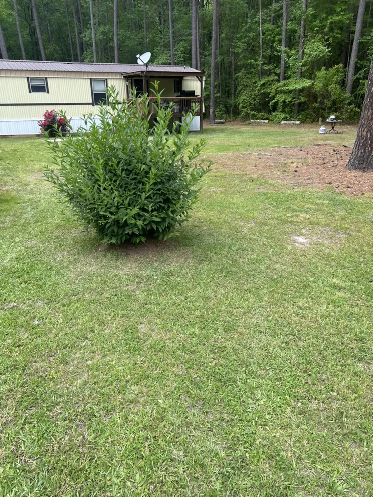 Affordable landscape installation in Clayton, NC by RELLS