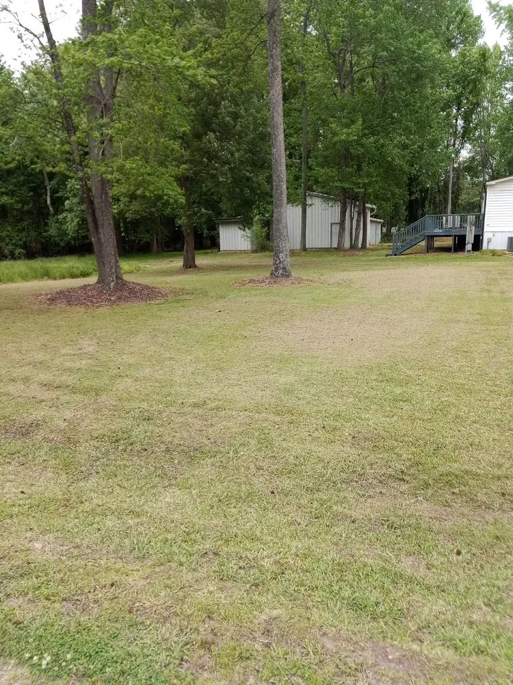 Reliable landscape design experts serving Clayton, NC - RELLS