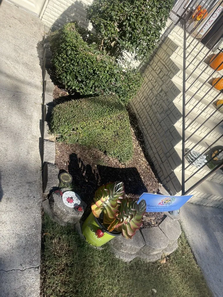 Custom lawn mowing service experts serving Birmingham, AL - Rellz Cutz