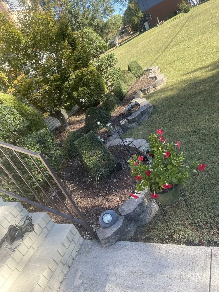 Professional lawn care service near you in Birmingham, AL by Rellz Cutz