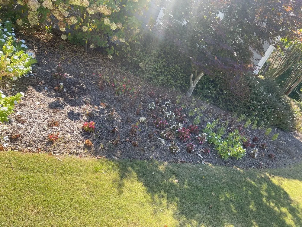 Expert yard cleanup service in Birmingham, AL by Rellz Cutz