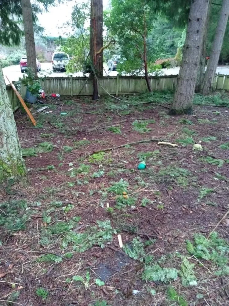 Affordable yard maintenance in Everett, WA - Relva Landscaping and Construction