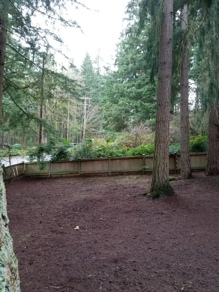 Custom yard cleanup service with custom design across Everett, WA - Relva Landscaping and Construction