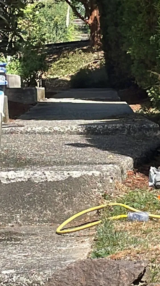 Custom outdoor landscaping in Everett, WA by Relva Landscaping and Construction