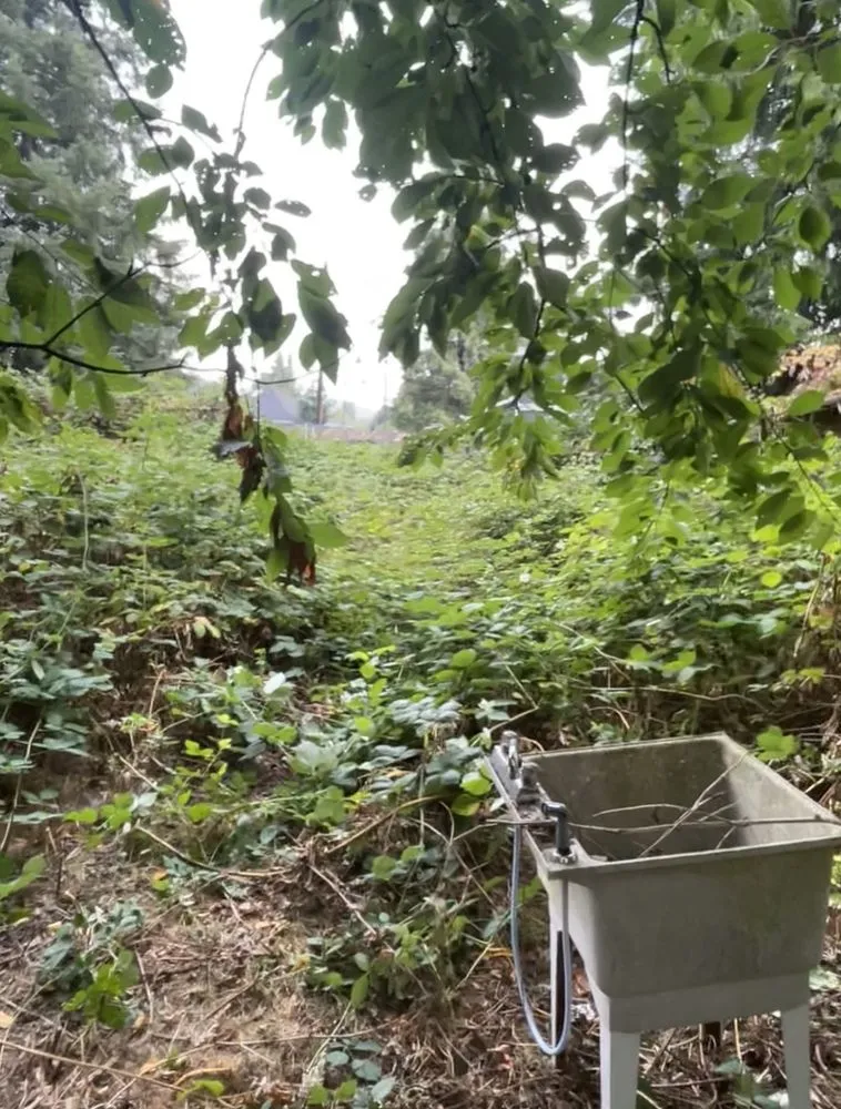 Affordable landscape design for residential properties in Everett, WA by Relva Landscaping and Construction