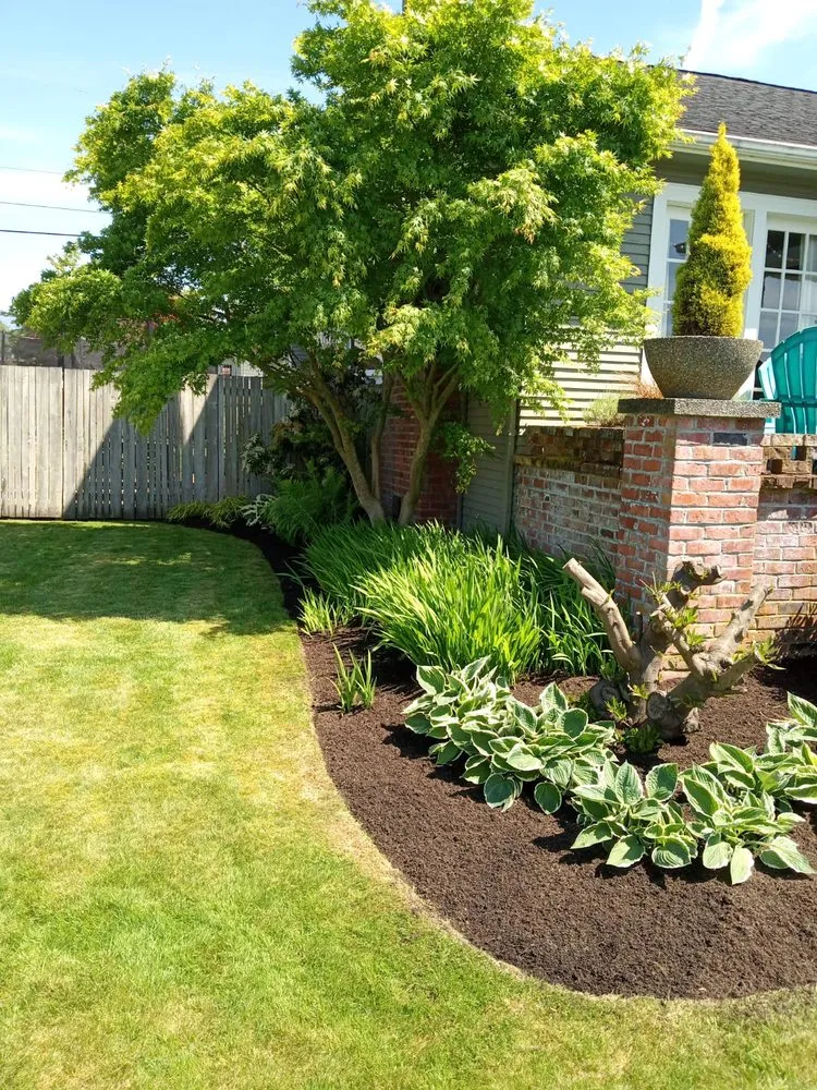 Professional landscape design in Everett, WA - Relva Landscaping and Construction