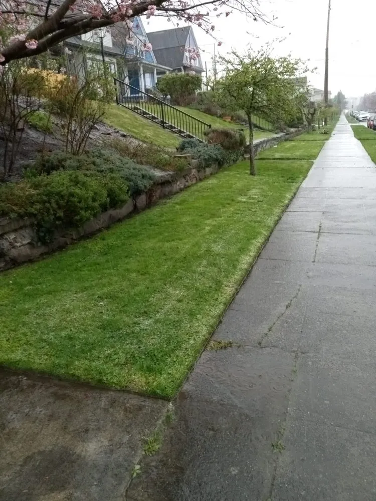 Top-rated yard cleanup service in Everett, WA - Relva Landscaping and Construction
