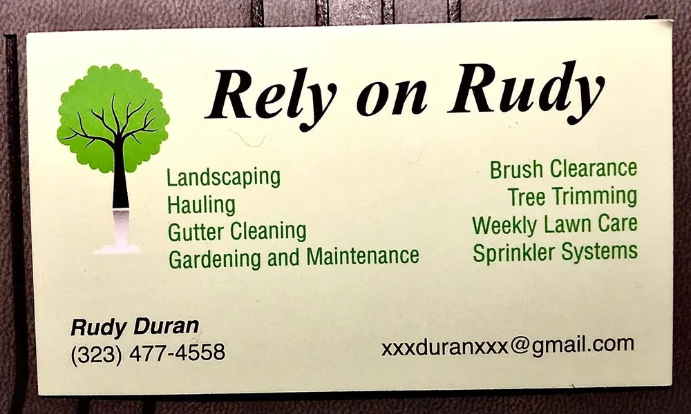 Affordable yard cleanup service in Los Angeles, CA by Rely On Rudy