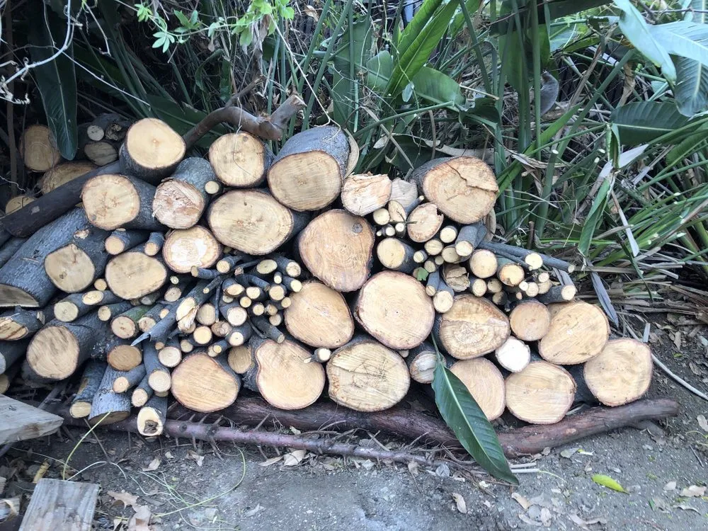 Professional landscape installation in Los Angeles, CA - Rely On Rudy