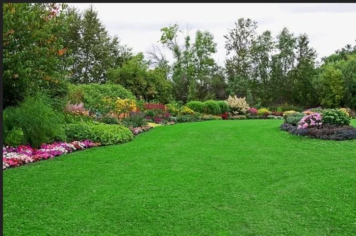 Trusted landscape design near you in Los Angeles, CA by Rely On Rudy