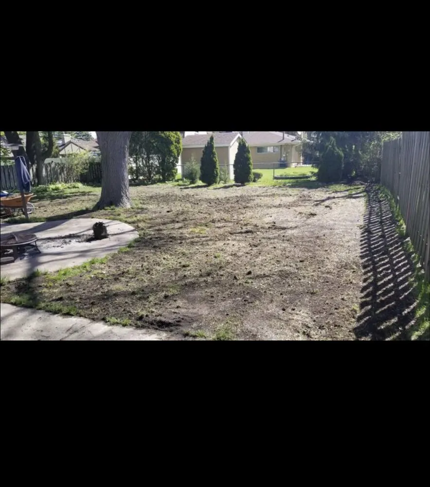 Expert lawn care service in Mount Prospect, IL - REM Landscaping Group