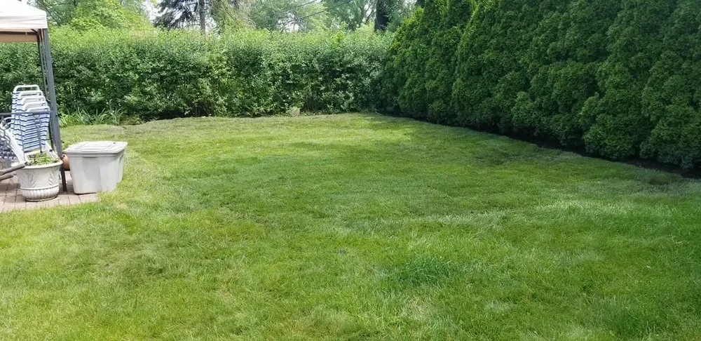 Local landscape design experts serving Mount Prospect, IL - REM Landscaping Group