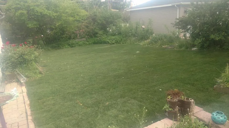 Professional residential landscaping in Mount Prospect, IL by REM Landscaping Group